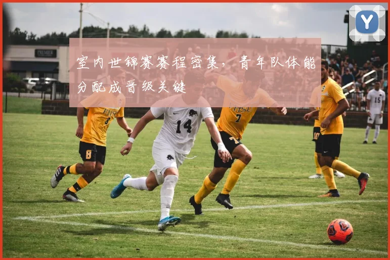 室内世锦赛赛程密集，青年队体能分配成晋级关键