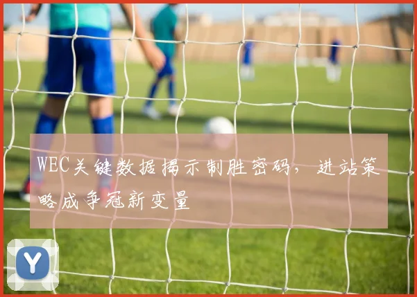 WEC关键数据揭示制胜密码，进站策略成争冠新变量